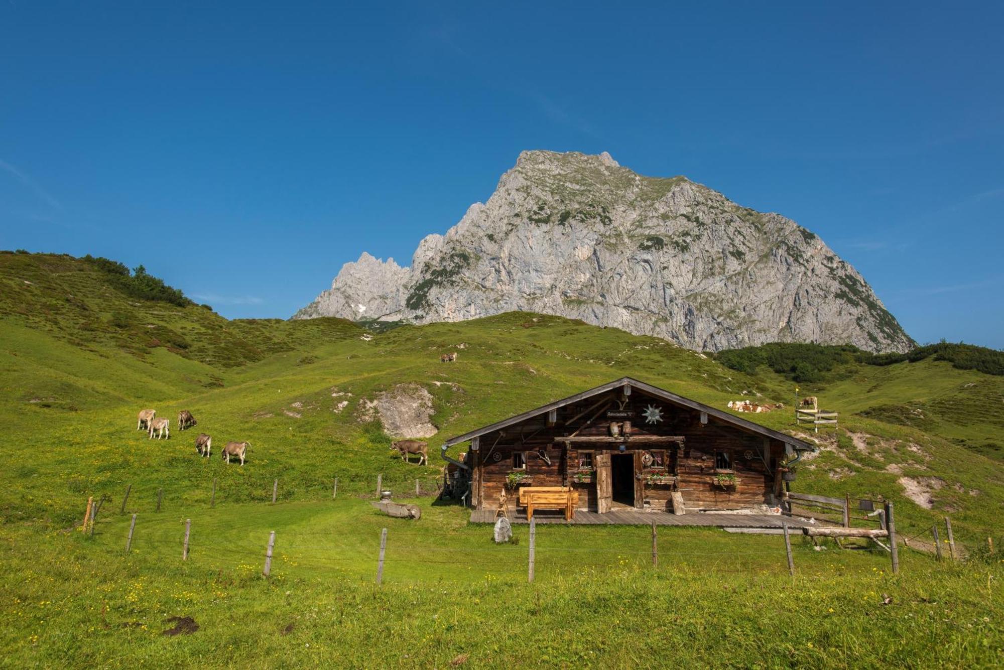 Cooee Alpin Hotel Kitzbueheler Alpen Sankt Johann in Tirol Bagian luar foto